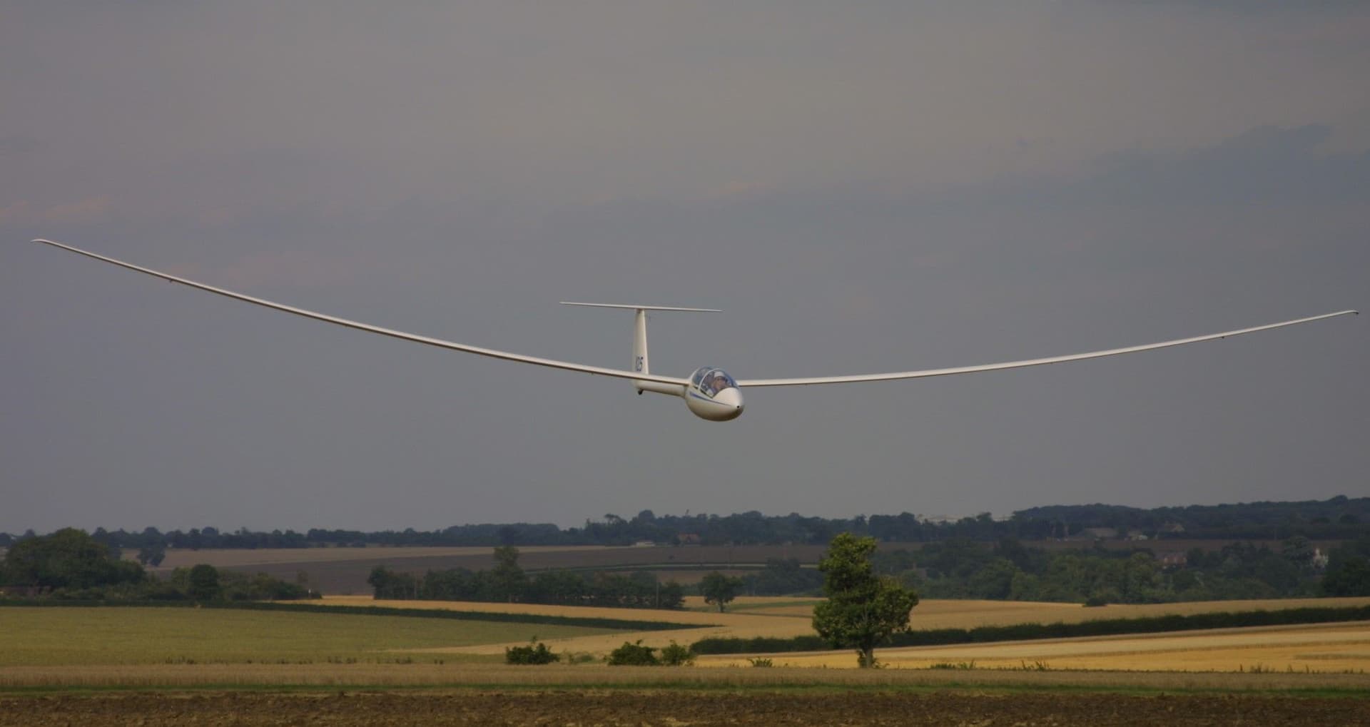 For the love of gliding … our CEO’s “other life”